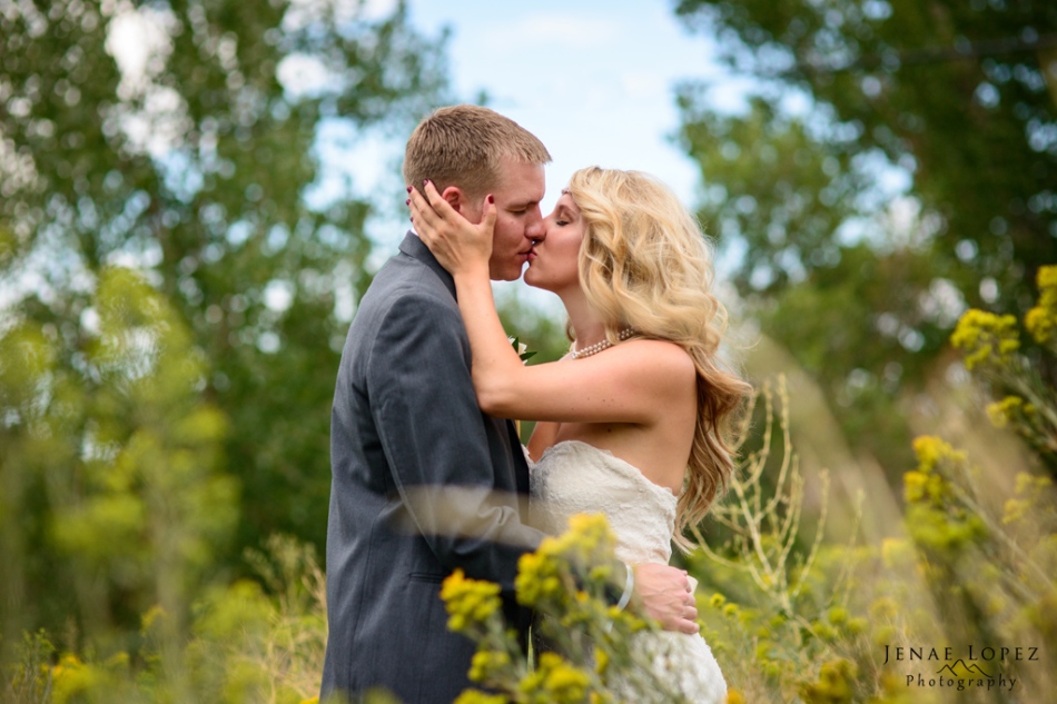 Bride and Groom kiss in yellow flower field in Golden Colorado