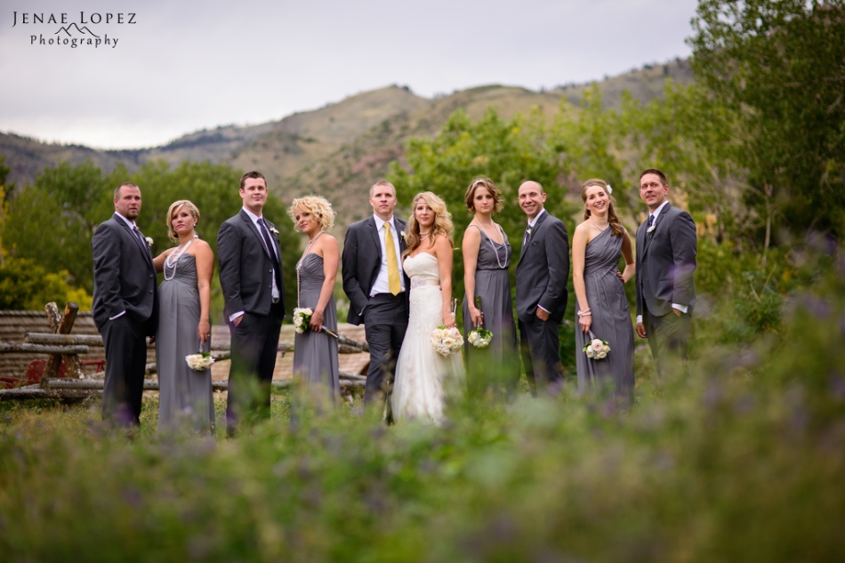 dramatic and artistic bridal party photo in rustic mountain field