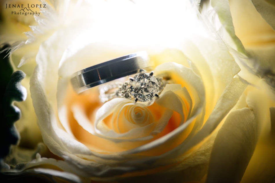 backlit photo of wedding rings inside yellow rose